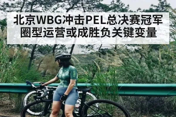 北京WBG冲击PEL总决赛冠军 圈型运营或成胜负关键变量